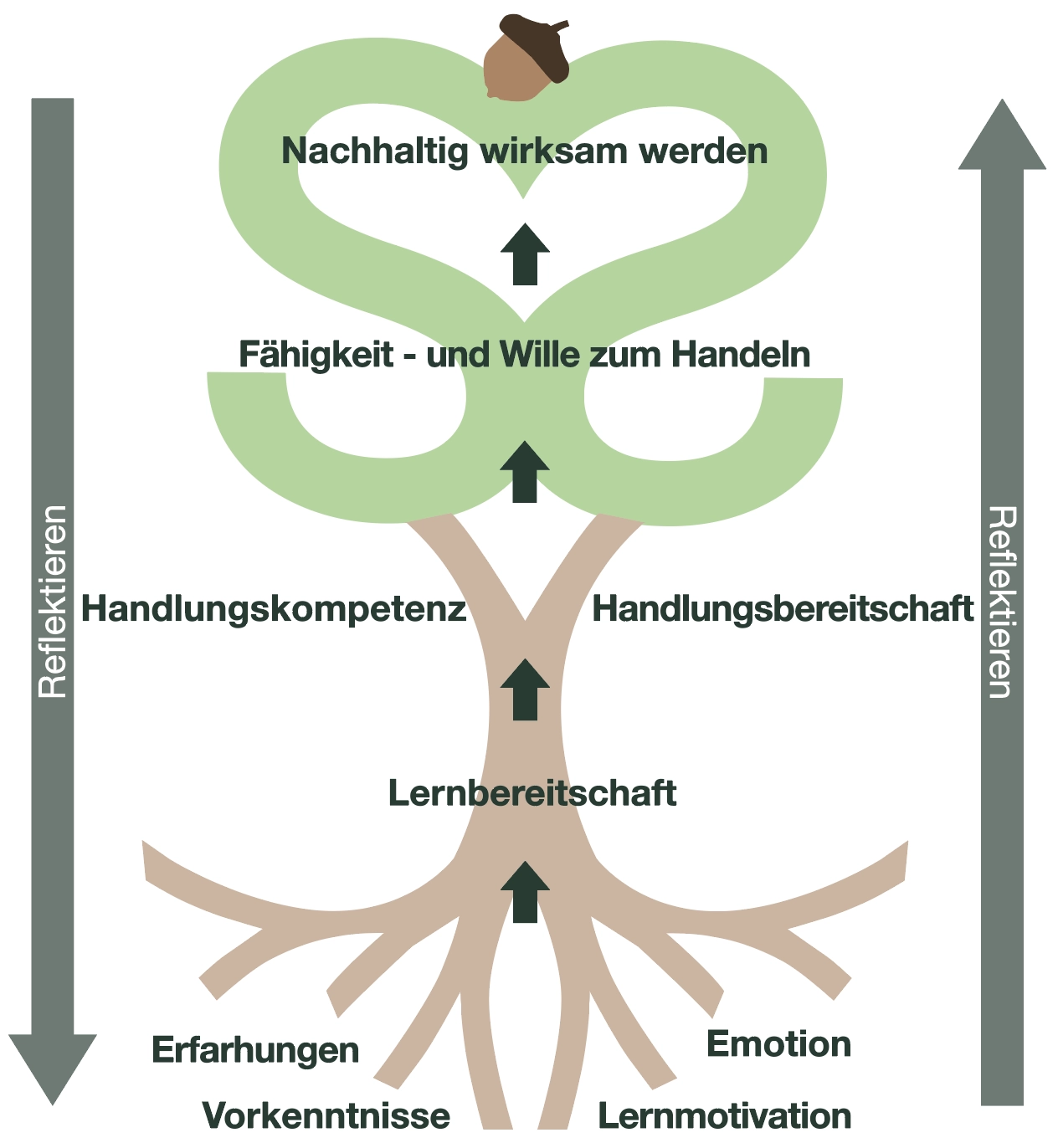 Baum